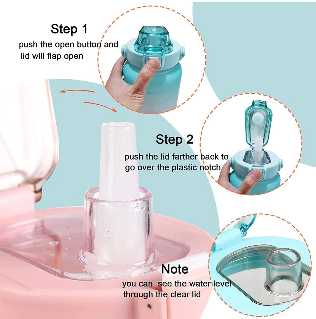 All day Water bottle ( NEW COLORS )