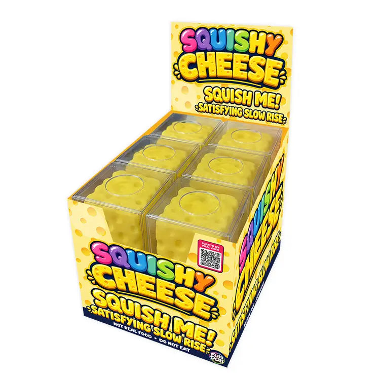 Boxed foam cheese squishy